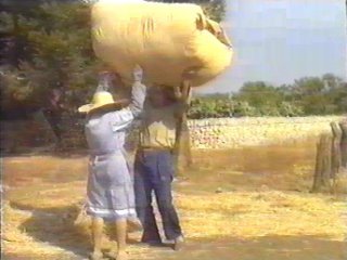 CAMPO - (87)